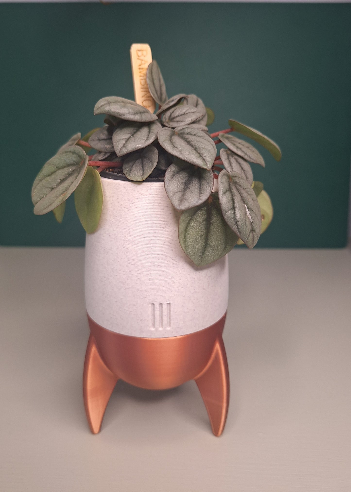 Rocket planter