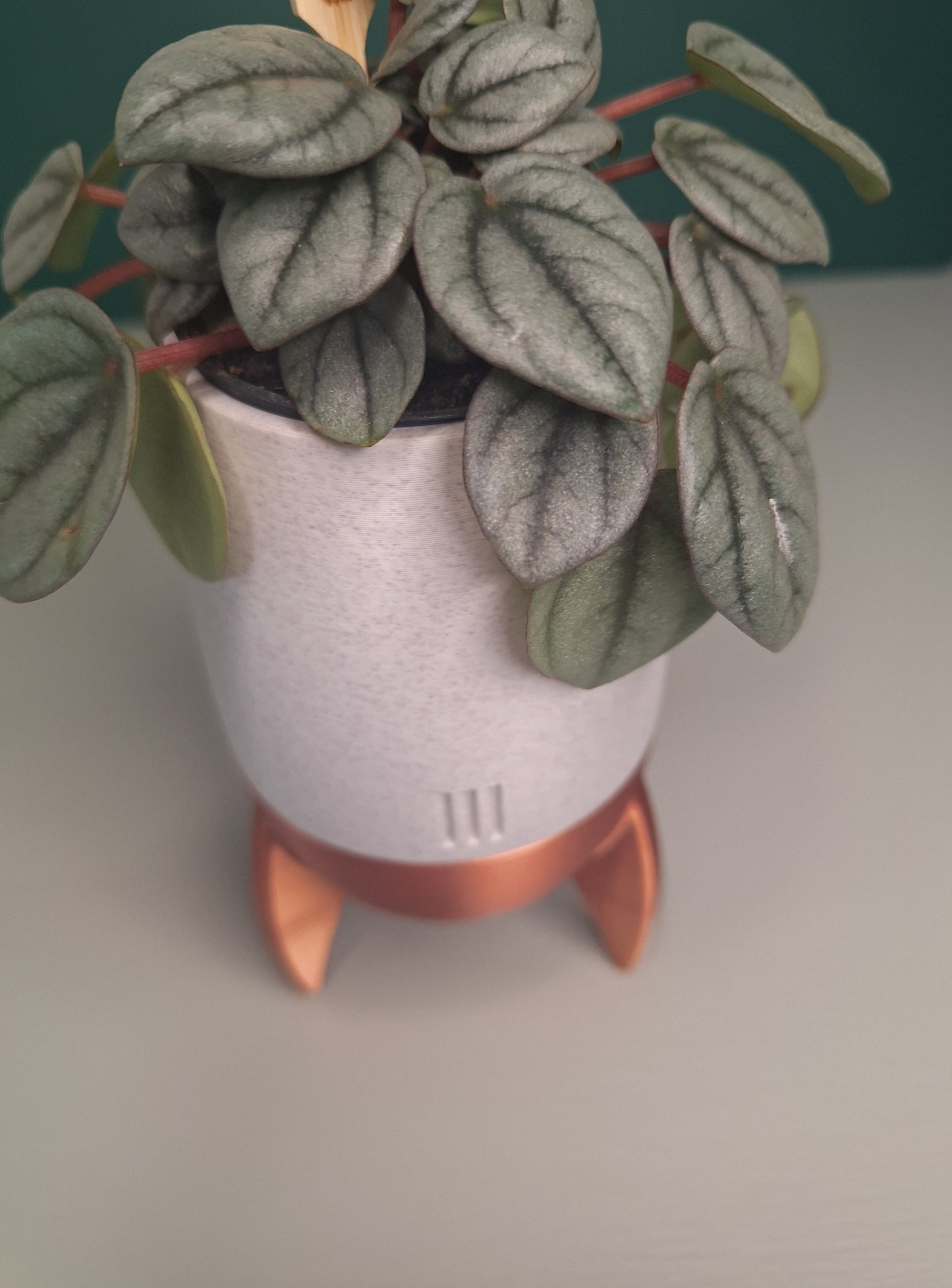 Rocket planter