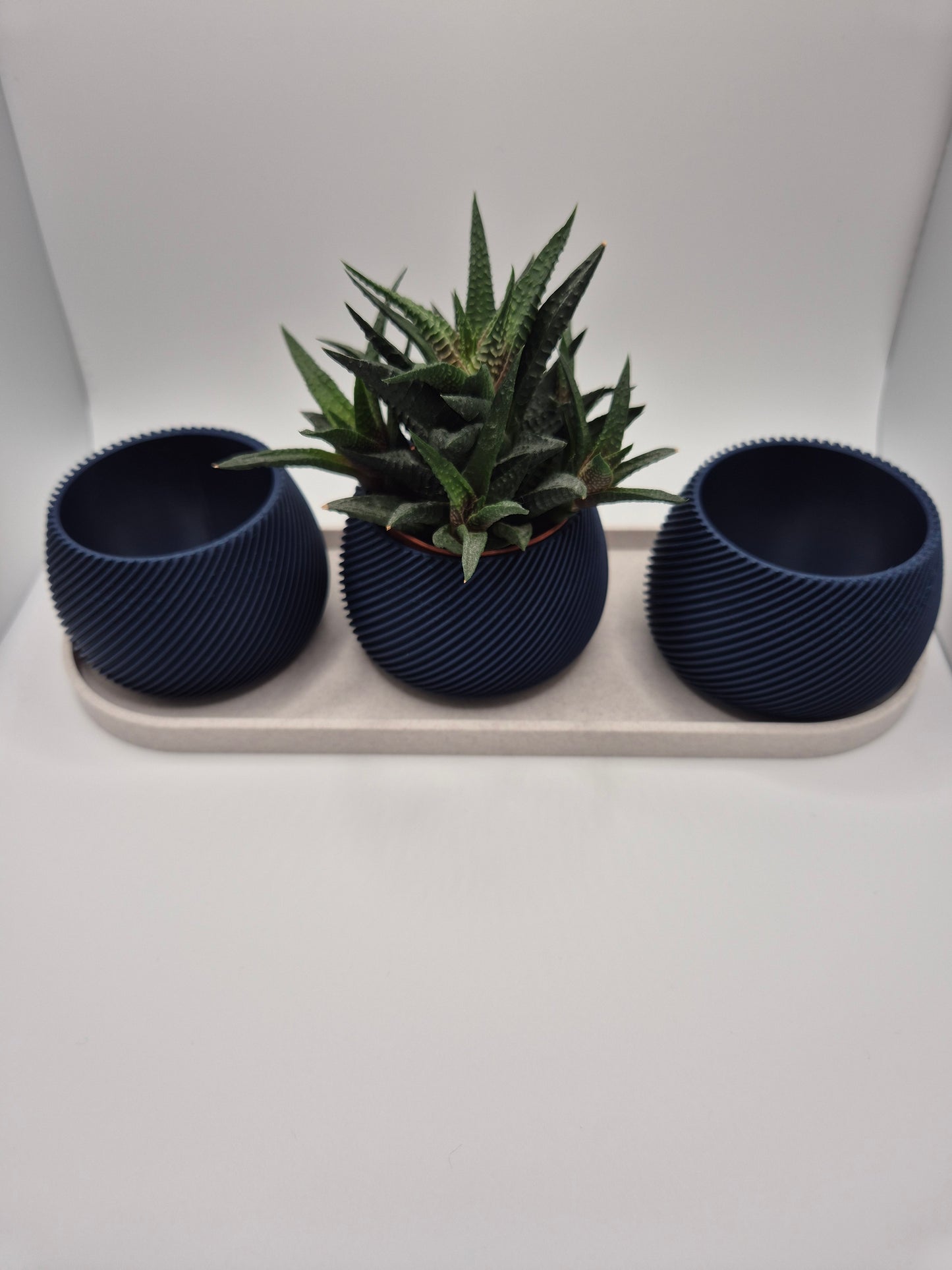3 piece Succulent & Cactus Pot Set with Marble effect Tray  Navy Blue Spiral Design