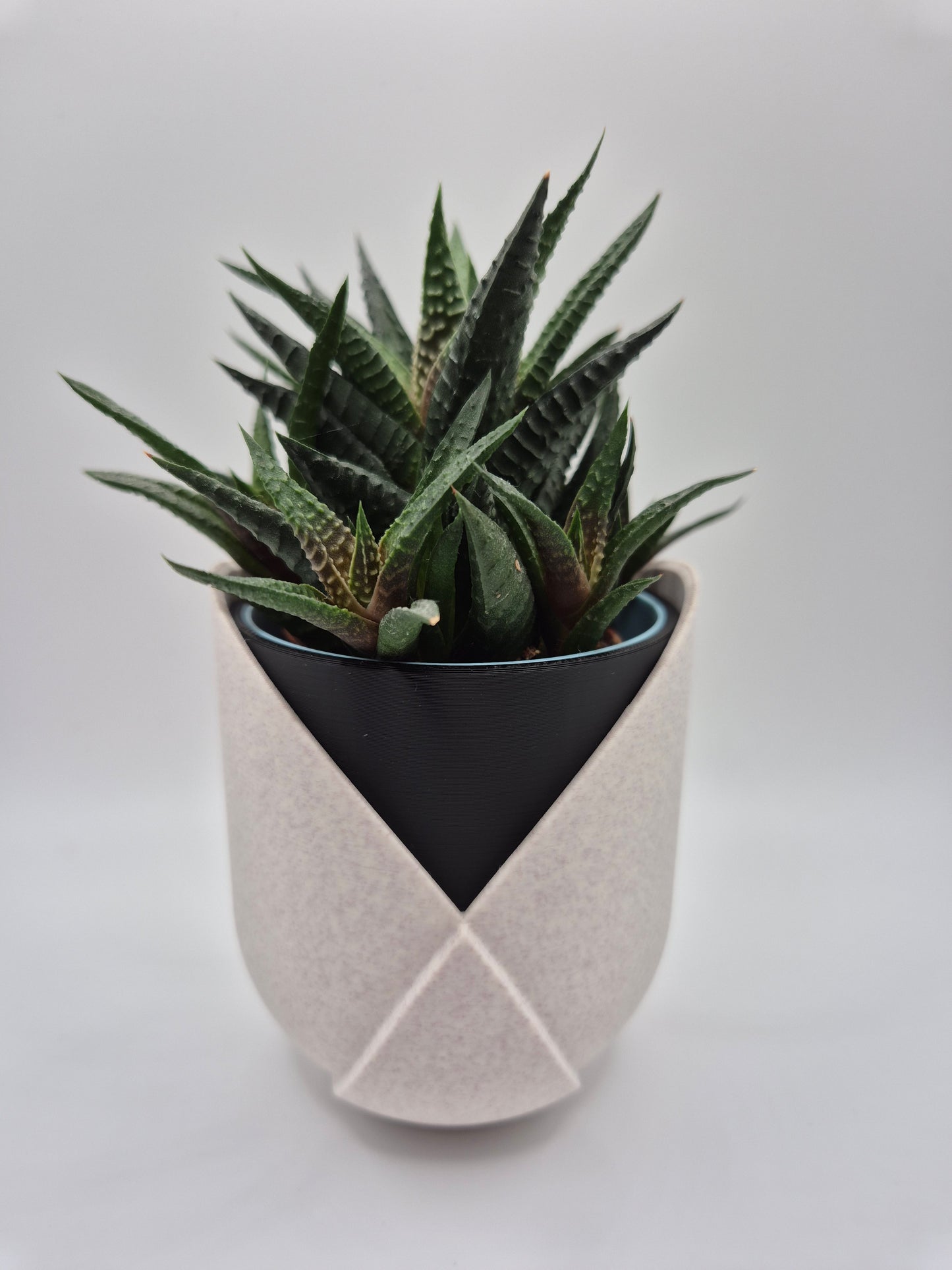 Tulip layered plant pot.