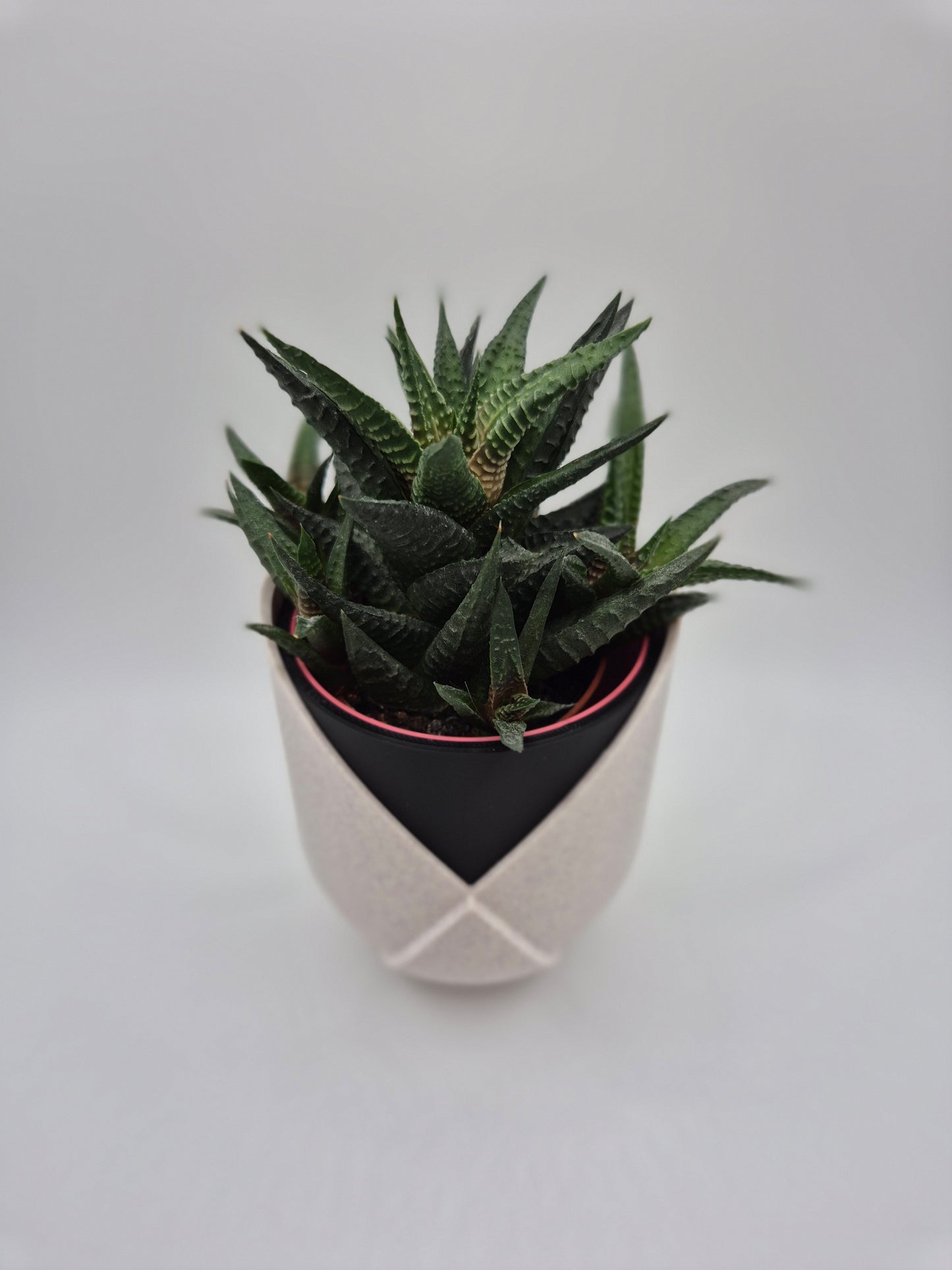 Tulip layered plant pot.