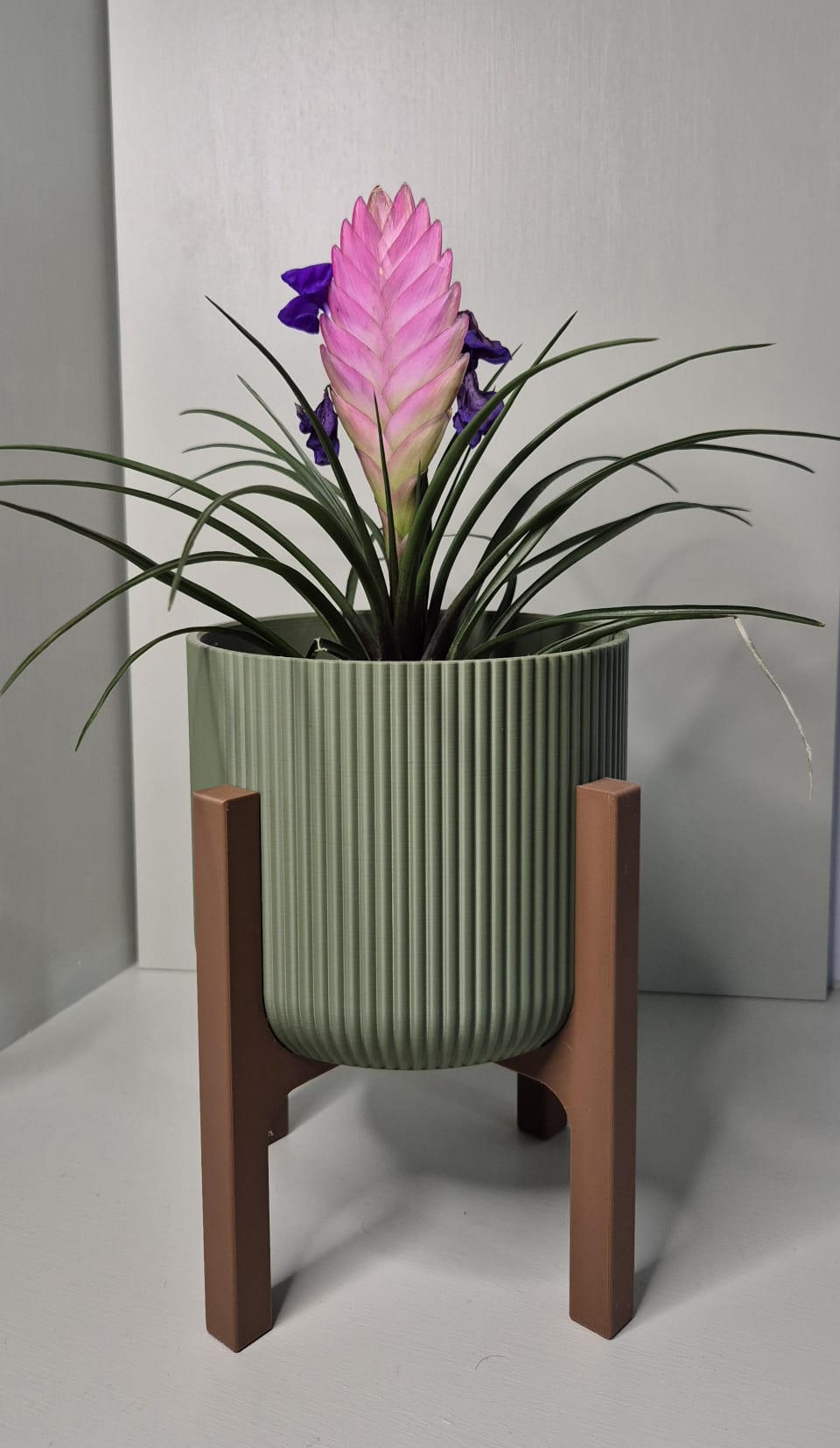 Plant pots