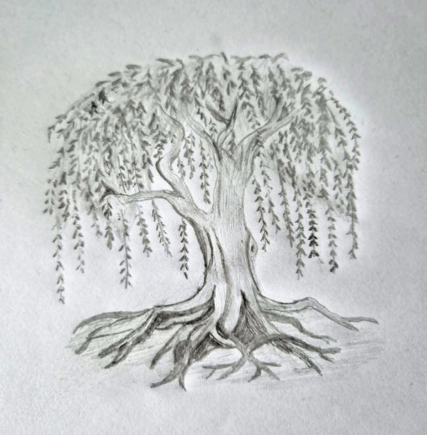 willow3ddesigns